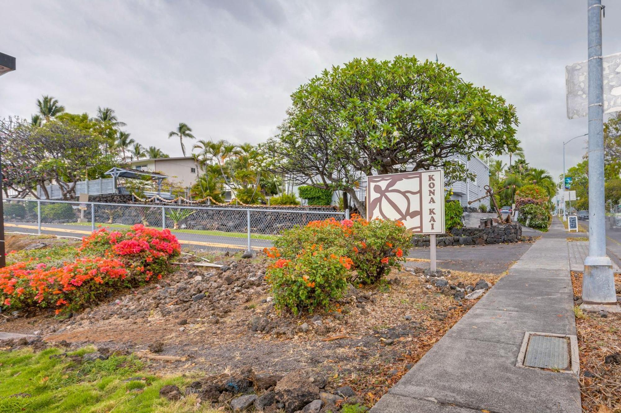 Kona Kai Haven With Pool Access, Walk To Beach! Kailua-Kona Ngoại thất bức ảnh